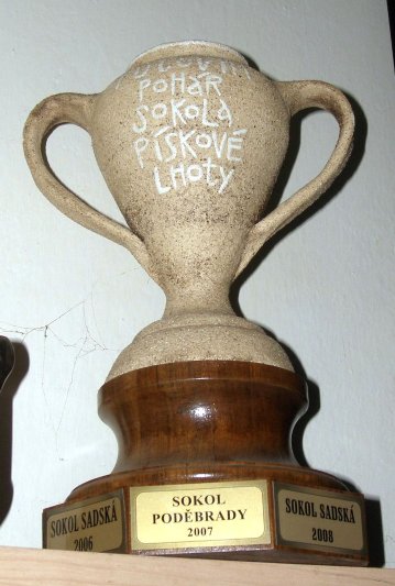Putovní pohár
